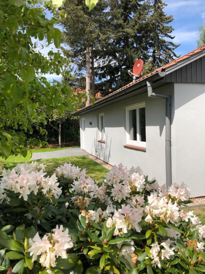 Kleine Auszeit In Salzhausen Villa Kültér fotó